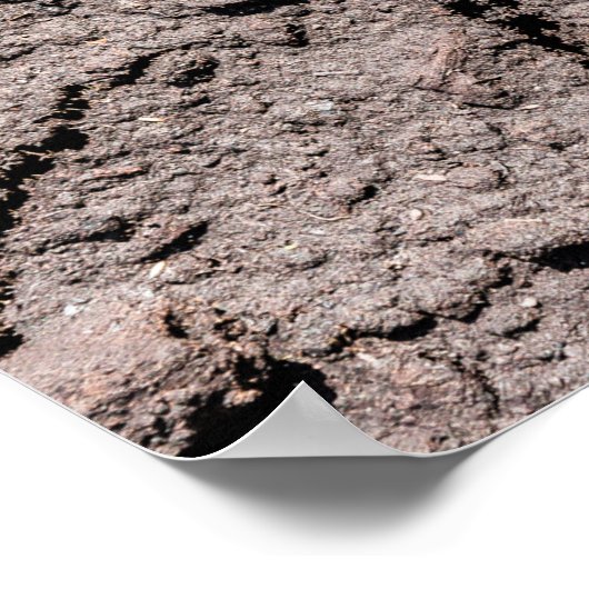 Der fünfte Innern Poster (Ecke)