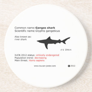 Der Ganges-Haifisch-Untersetzer Sandstein Untersetzer