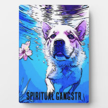 Der ganze amerikanische Schwimmhund mit Blume