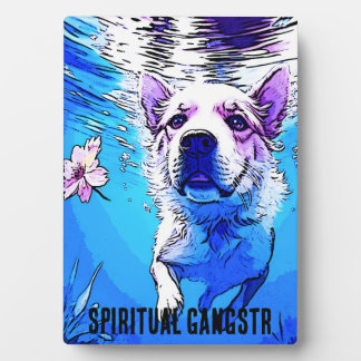 Der ganze amerikanische Schwimmhund mit Blume Fotoplatte