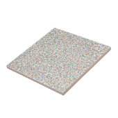 Der ganze Regenbogen farbenfrohe, gesprenkelte Pun Fliese (Seite)