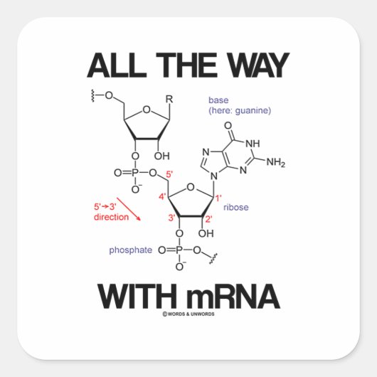 Der ganze Weg mit mRNA-Messenger-RNA molekulare Bi Quadratischer Aufkleber (Vorderseite)
