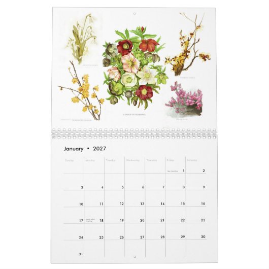 Der Garten 2015 Kalender (Jan 2027)