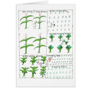 Der Garten der Familie der Anmut