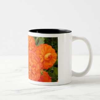 Der Garten der Freundschaft Zweifarbige Tasse