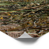 Der Garten der Götter Poster (Ecke)