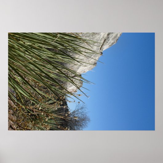 Der Garten der Götter Poster (Vorne)