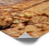 Der Garten der Götter Poster (Ecke)