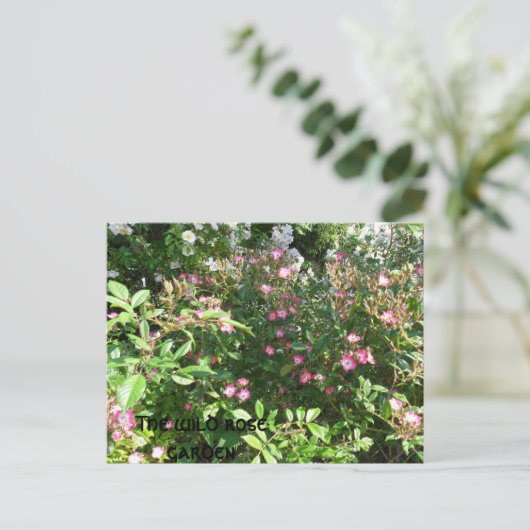 Der Garten der Rose Postkarte (Stehend Vorderseite)