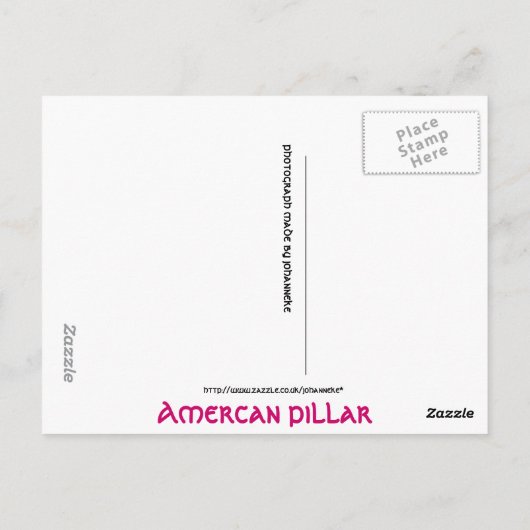 Der Garten der Rose Postkarte (Rückseite)