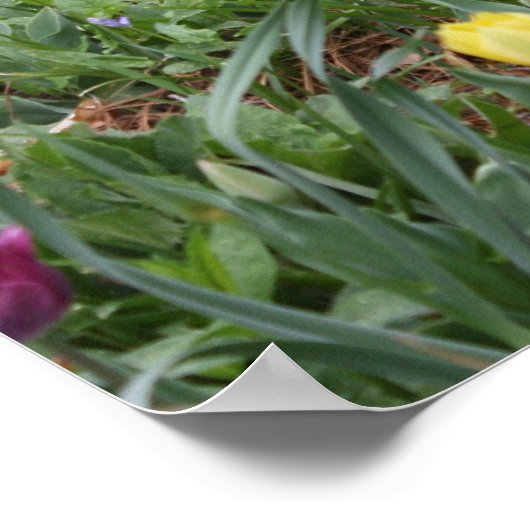 Der Garten Gottes Poster (Ecke)