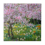 Der Garten von Claude Monet Fliese<br><div class="desc">Jaynes Gallery / DanitaDelimont.com| Europa,  Frankreich| Frankreich,  Giverny. Verweilen Sie im Garten von Claude Monet.</div>
