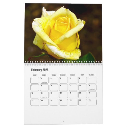 Der Gartenkalender der Rose Kalender (Feb 2026)