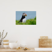 Der Gatherer Puffin Poster (Küche)