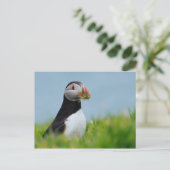 Der Gatherer Puffin Postkarte (Stehend Vorderseite)