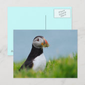 Der Gatherer Puffin Postkarte (Vorne/Hinten)