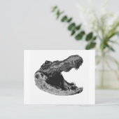 DER GATORS MAKe Postkarte (Stehend Vorderseite)