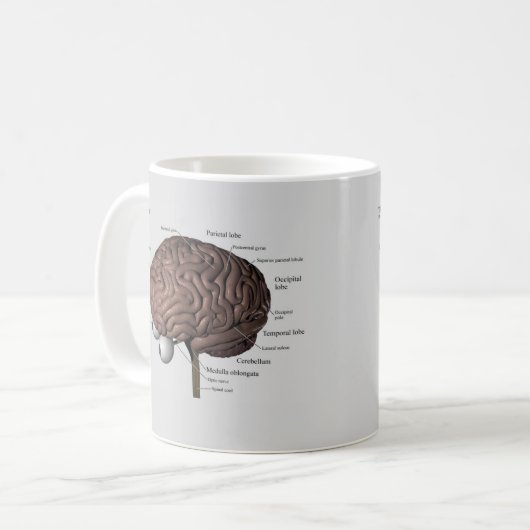 Der Gehirn-Aussenseiter Kaffeetasse (Vorderseite Links)