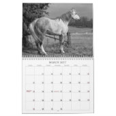 Der Geist des Pferds Kalender (Mär 2027)