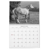 Der Geist des Pferds Kalender (Mär 2026)