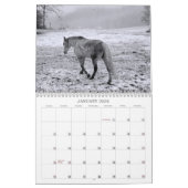 Der Geist des Pferds Kalender (Jan 2026)