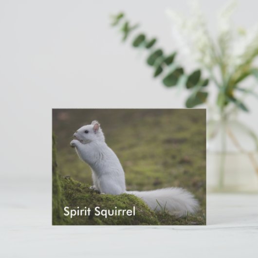 Der Geist Eichhörnchen des Westens Postkarte (Stehend Vorderseite)