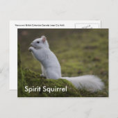 Der Geist Eichhörnchen des Westens Postkarte (Vorne/Hinten)