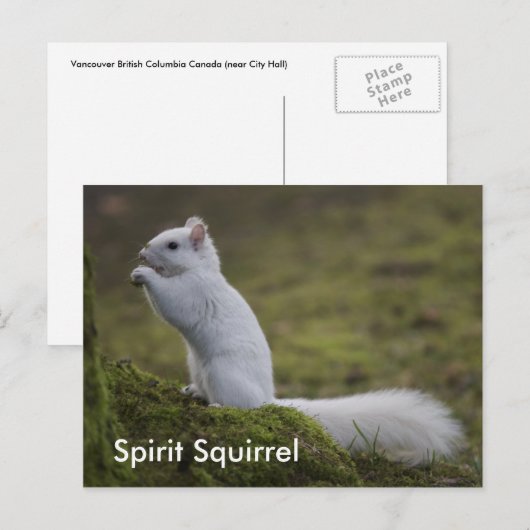 Der Geist Eichhörnchen des Westens Postkarte (Vorne/Hinten)