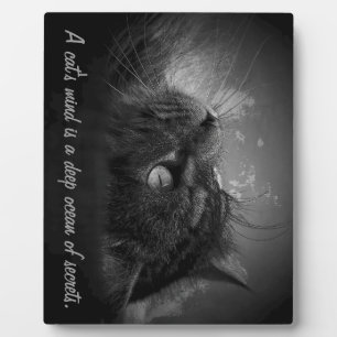 Der Geist einer Katze ist ein tiefer Ozean der Geh Fotoplatte