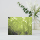 "Der Geist in den Bäumen" Foto Postkarte (Stehend Vorderseite)