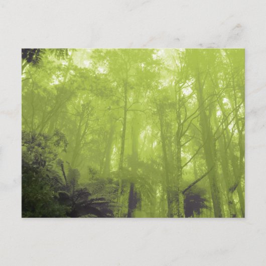 "Der Geist in den Bäumen" Foto Postkarte (Vorderseite)