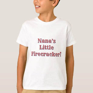 Der Geist von 1776, 2026 Amerikas Roter Adler Feue T-Shirt