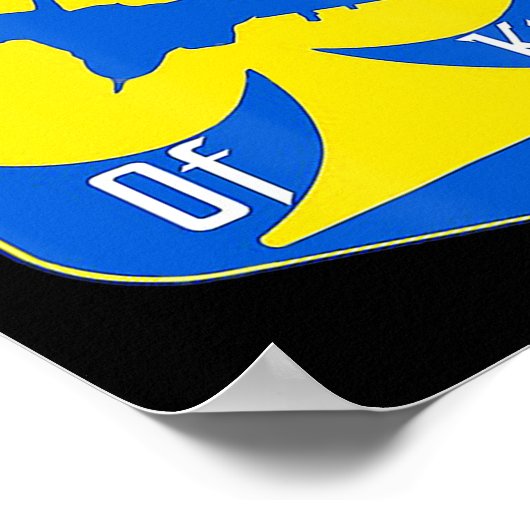 Der Geist von Kiew I steht mit der ukrainischen Poster (Ecke)