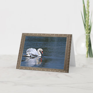 der gekräuselte Schwan versieht 1 notecard mit Karte