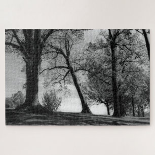 Der gekrümmte Baum Puzzle