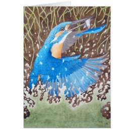 Der gemeine Eisvogel