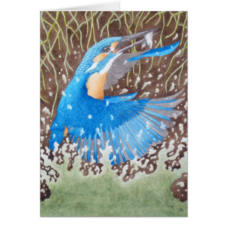 Der gemeine Eisvogel