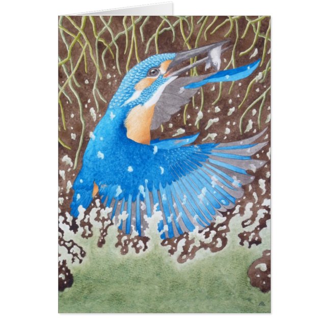 Der gemeine Eisvogel (Vorne)