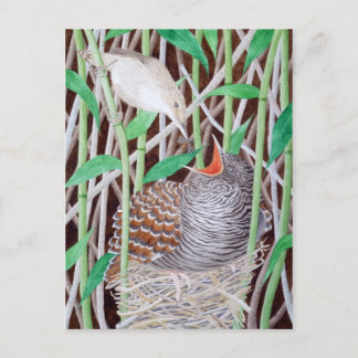 Der gemeinsame Kuckuck Postkarte