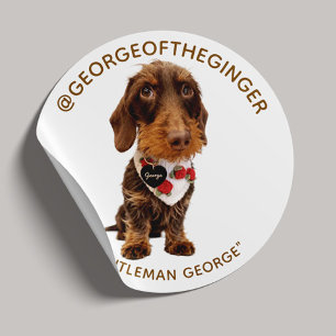 Der George   Moderner Tier-Influencer Foto 1,5" Runder Aufkleber