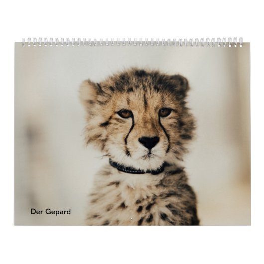 Der Gepard Kalender (Titelbild)