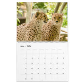 Der Gepard Kalender (Mär 2026)