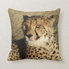 Der Gepard Kissen