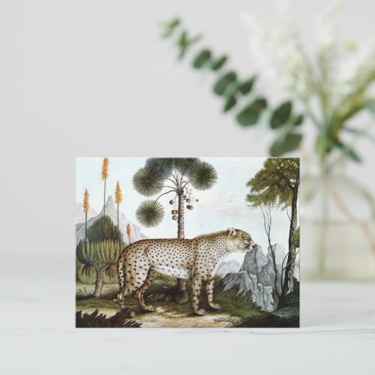 Der Gepard oder Die Geparde (1886) Postkarte (Stehend Vorderseite)