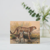Der Gepard von Joseph Wolf Postkarte (Stehend Vorderseite)