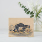 Der Gepardkatze von Joseph Wolf Postkarte (Stehend Vorderseite)