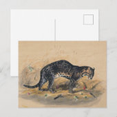 Der Gepardkatze von Joseph Wolf Postkarte (Vorne/Hinten)