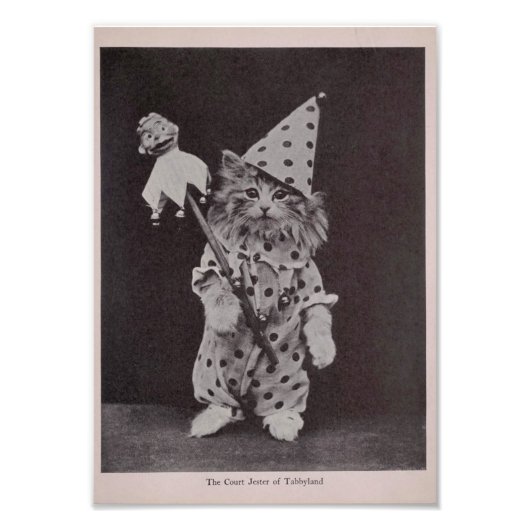 Der Gerichtshof von Tabbyland Fotodruck (Vorne)