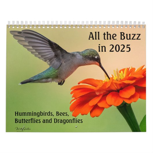 Der gesamte Kalender von Buzz 2025 (Titelbild)