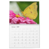 Der gesamte Kalender von Buzz 2025 (Jan 2027)
